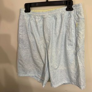 Birddogs "Brad Schittz" Bathing Suit | Blue/White | Large | 9”inseam | EUC